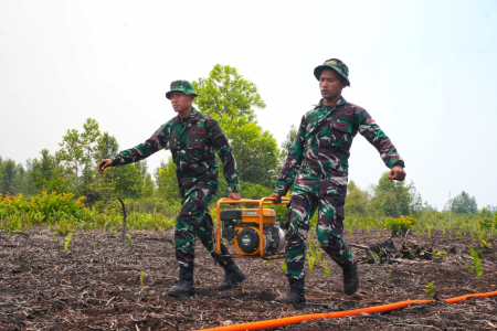 PEMADAMAN KEBAKARAN LAHAN