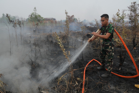 PENDINGINAN LAHAN GAMBUT TERBAKAR