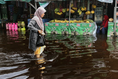 BANJIR DI KOTA PALANGKA RAYA  