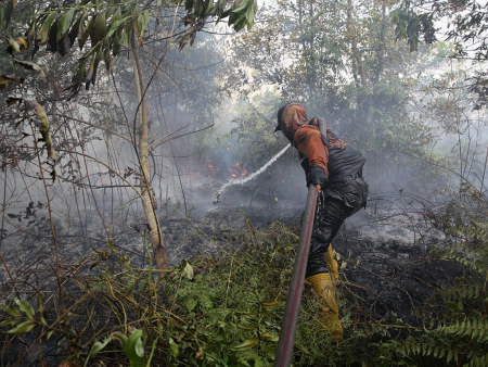 PADAMKAN KARHUTLA 