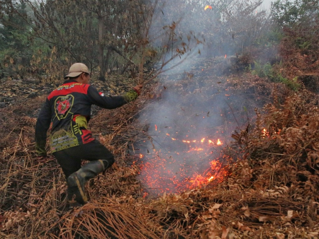 PADAMKAN KARHUTLA