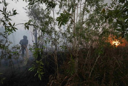 PADAMKAN LAHAN GAMBUT TERBAKAR 