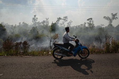 KARHUTLA DI KOTA PALANGKA RAYA MENINGKAT