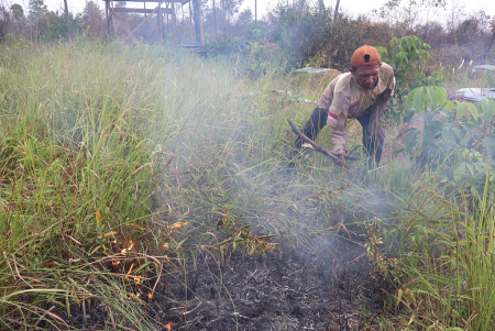 BERSIHKAN RUMPUT