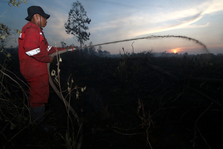 PEMBASAHAN LAHAN