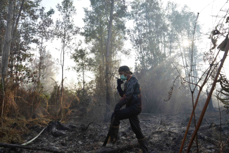 KARHUTLA DI KOTA PALANGKA RAYA MENINGKAT 