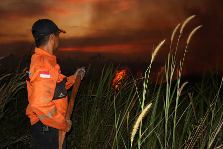 PADAMKAN KARHUTLA 