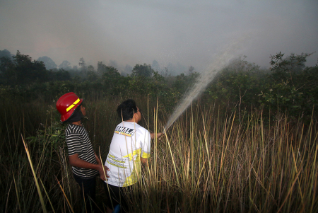 PADAMKAN API DI LAHAN GAMBUT