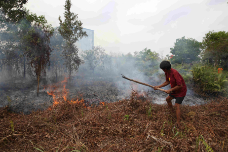 PADAMKAN KARHUTLA 