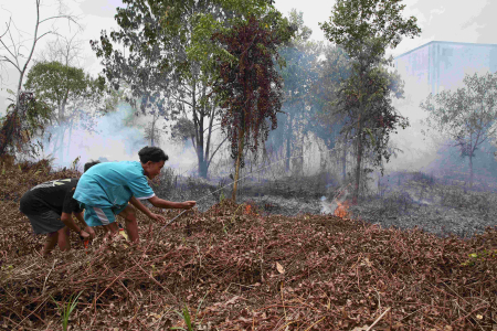 PADAMKAN KARHUTLA 