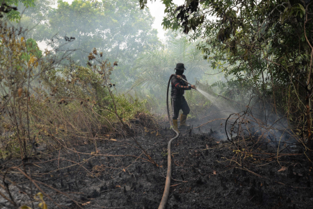 PADAMKAN KEBAKARAN LAHAN GAMBUT