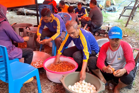 KUPAS TELUR REBUS