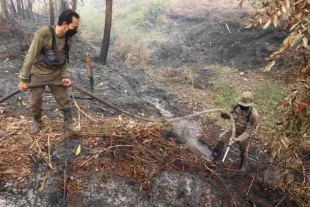 DINGINKAN LAHAN GAMBUT TERBAKAR