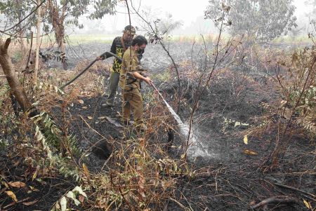 DINGINKAN LAHAN GAMBUT TERBAKAR