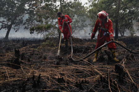 PENDINGINAN LAHAN GAMBUT TERBAKAR