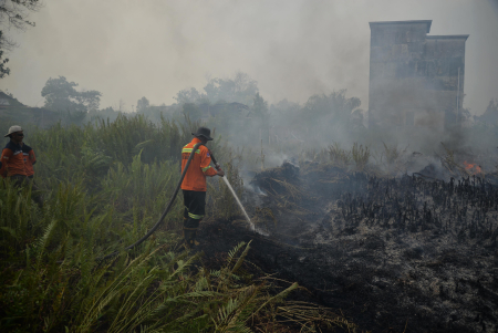 PENDINGINAN LAHAN GAMBUT TERBAKAR