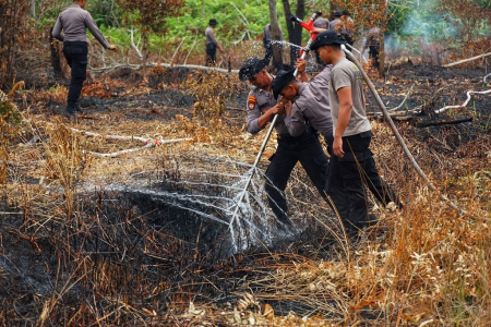 PEMADAMAN KARHUTLA di LAHAN GAMBUT
