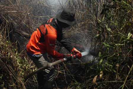 PENDINGINAN LAHAN TERBAKAR