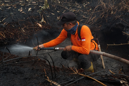 PENDINGINAN LAHAN TERBAKAR