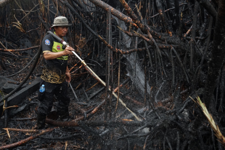 PENDINGINAN LAHAN TERBAKAR