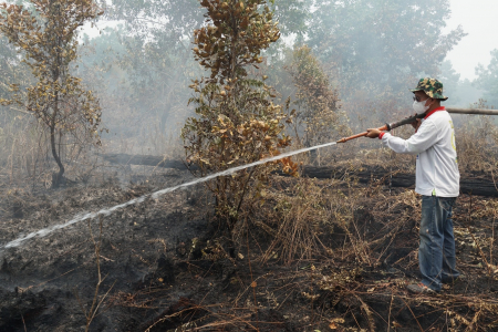 PADAMKAN KARHUTLA