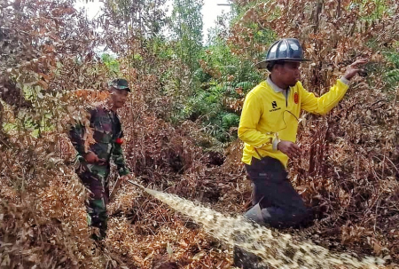 KEBAKARAN HUTAN DAN LAHAN