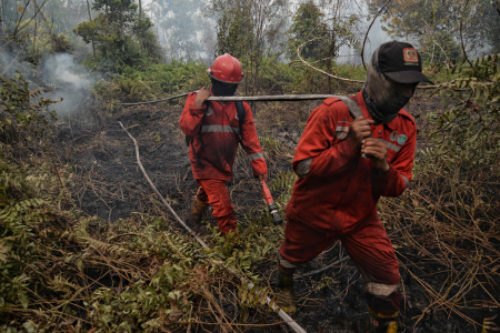 PADAMKAN KEBAKARAN LAHAN GAMBUT