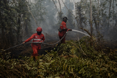 PADAMKAN KEBAKARAN LAHAN GAMBUT