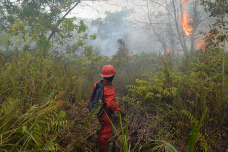 PANTAU TITIK API