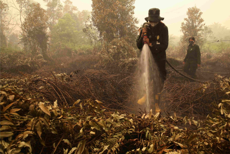 DINGINKAN LAHAN GAMBUT TERBAKAR