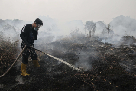 PENDINGINAN KEBAKARAN LAHAN GAMBUT