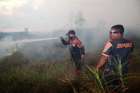 PEMBASAHAN LAHAN