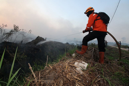 PADAMKAN KARHUTLA DI GUNTUNG DAMAR
