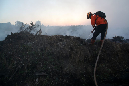 PADAMKAN KARHUTLA DI GUNTUNG DAMAR