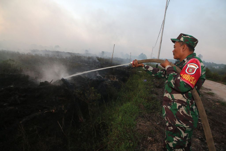 PADAMKAN KARHUTLA DI GUNTUNG DAMAR