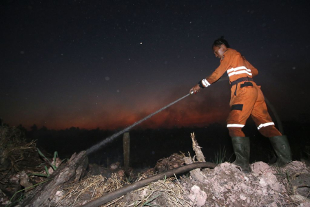 PADAMKAN KARHUTLA DI GUNTUNG DAMAR