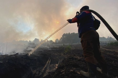 KARHUTLA DI GUNTUNG DAMAR