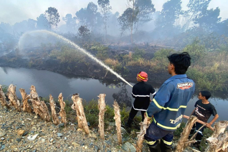 KARHUTLA DI GUNTUNG DAMAR