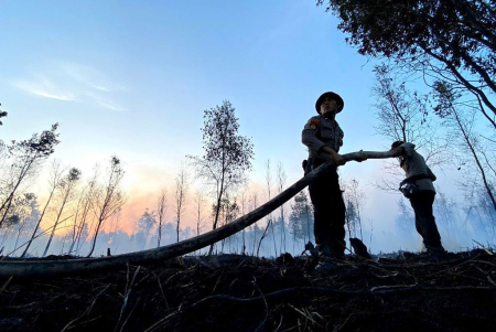 BERSIAP PADAMKAN API
