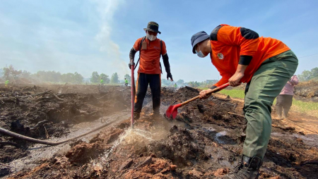 PEMBASAHAN LAHAN