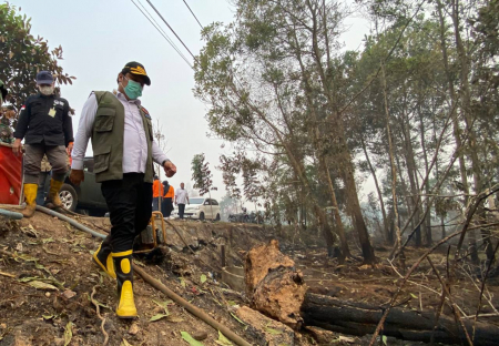 SEKDA KALSEL TINJAU PEMBASAHAN LAHAN