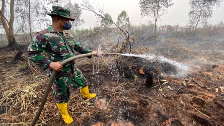 PEMBASAHAN LAHAN