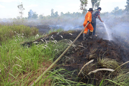 PADAMKAN KARHUTLA