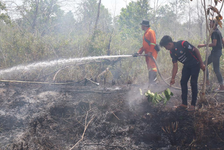 PADAMKAN KARHUTLA