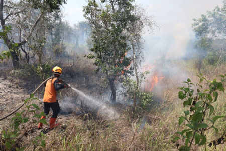PADAMKAN KARHUTLA