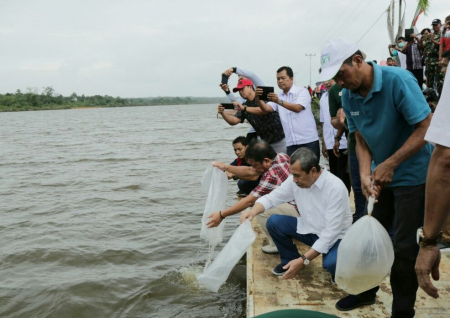 GUBERNUR RIAU LEPAS  BIBIT IKAN 
