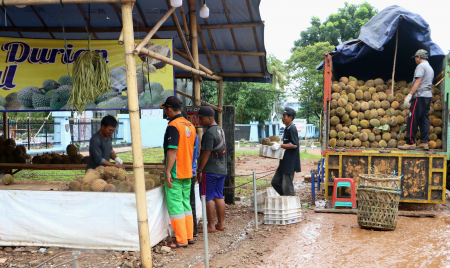 PEDAGANG DURIAN MUSIMAN
