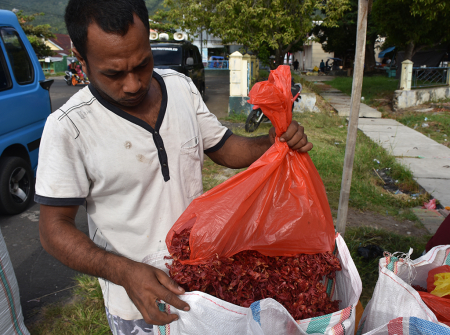 HARGA FULI PALA NAIK