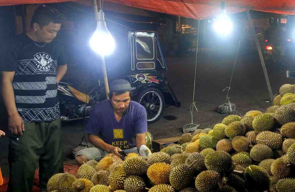 HARGA DURIAN TURUN