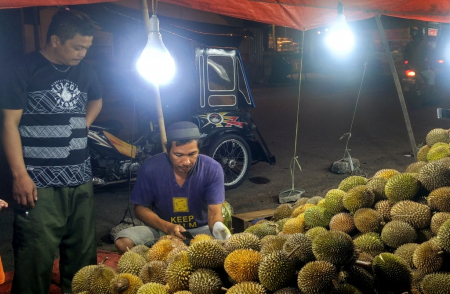 HARGA DURIAN TURUN